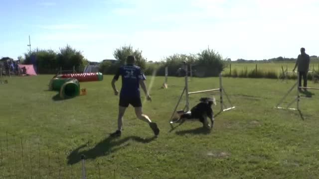 video